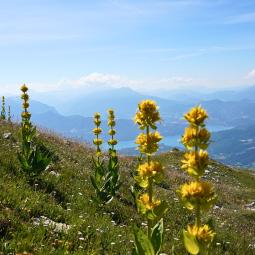 La randonnée du Piolit Hautes Alpes 