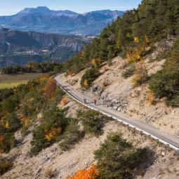 velo de route