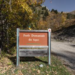 Col de Moissière, vélo de route foret du Sapet