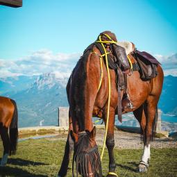 Tour de l'avance à cheval dans les vallées de Serre-Ponçon