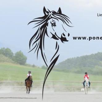 Poney club et élevage La Gardiole_La Bâtie-Vieille - Poney club et élevage La Gardiole_La Bâtie-Vieille