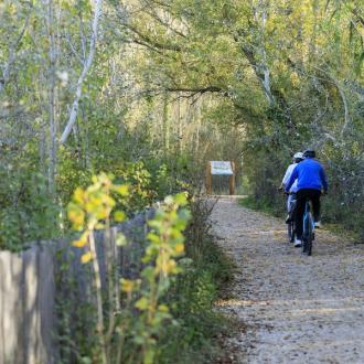 Tronçon Mallemort - Sénas_Mallemort