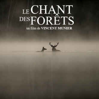 Projection Cinévadrouille film "Le Chant des Forêts"_Espinasses