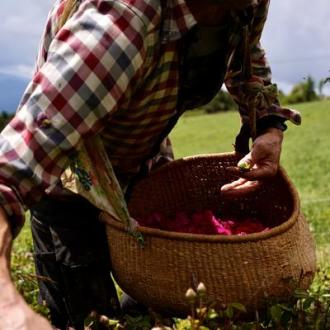 Rendez-vous de l'été : Atelier Cocktail aux eaux florales._Théus