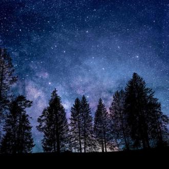 Rendez-vous de l'été : Une nuit dans la nature_La Bâtie-Neuve