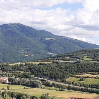 Le Cèdre vue - Le Cèdre vue