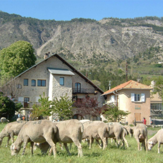 Paysage Paysage