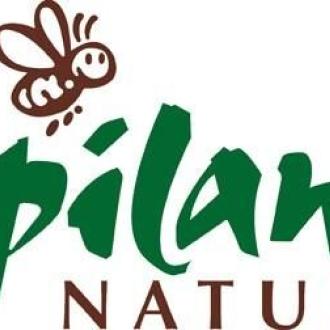 Apiland Nature - Apiland Nature Apiland Nature - Apiland Nature