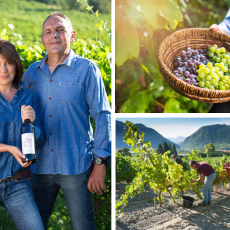Domaine Allemand - Domaine Allemand Domaine Allemand - Domaine Allemand