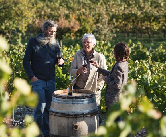 Vignobles