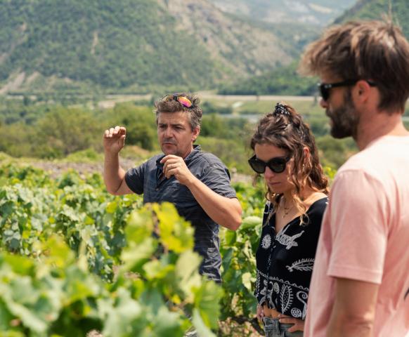 Domaine du Petit août vin bio des Hautes-Alpes cépage mollard 