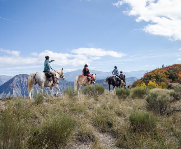Tour de l'avance à cheval vue sur les montagnes dans les vallées de Serre Ponçon face aux montagnes des Ecrins