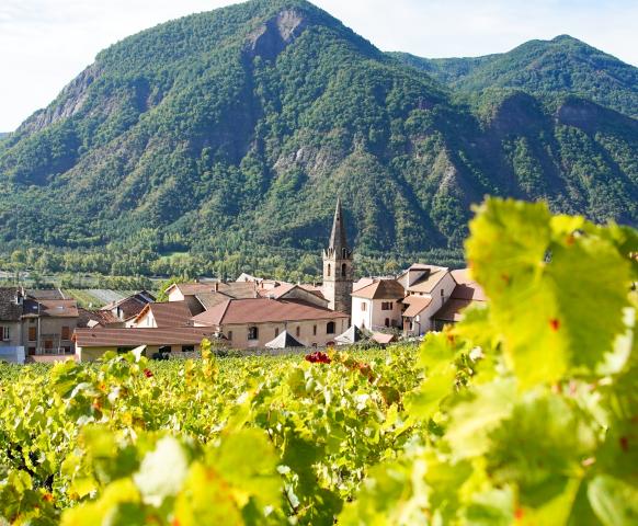 vin des hautes alpes remollon