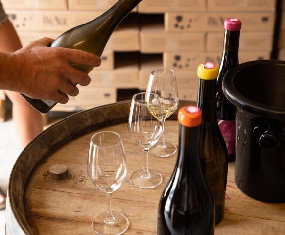 Domaine du petit aout, vin bio des Hautes Alpes