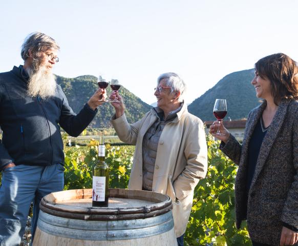 Vin des Hautes Alpes