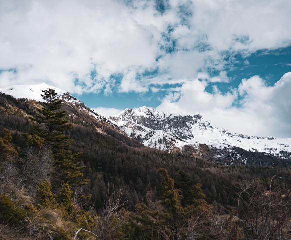 Les contreforts du Piolit au printemps
