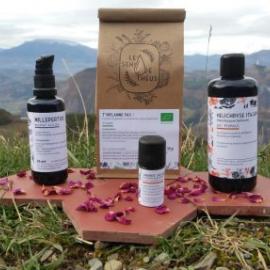 Plantes aromatiques