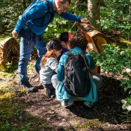 étranges énigmes en forêt du Sapet