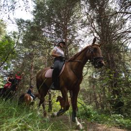 A cheval