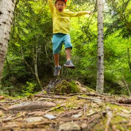 Caillou aux hiboux, famille forêt du Sapet 