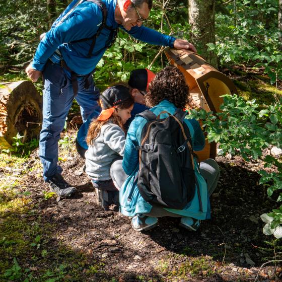 étranges énigmes en forêt du Sapet