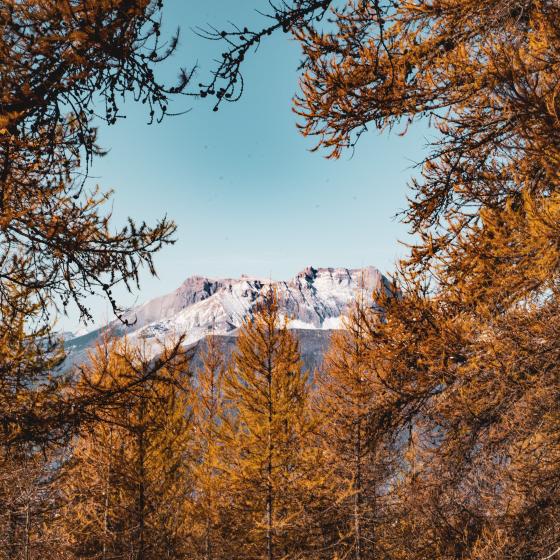 Alpage du Mont colombis à l'automne 