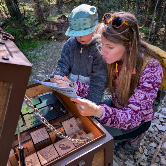 dodo sous tente forêt du Sapet 2025