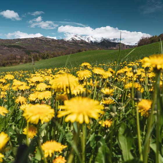 Le printemps dans les vallées de Serre Ponçon 