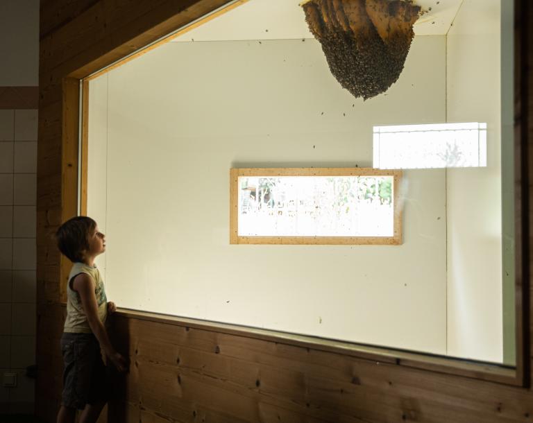 Apiland un agrimusée sur l'apiculture dans les Hautes Alpes. 
