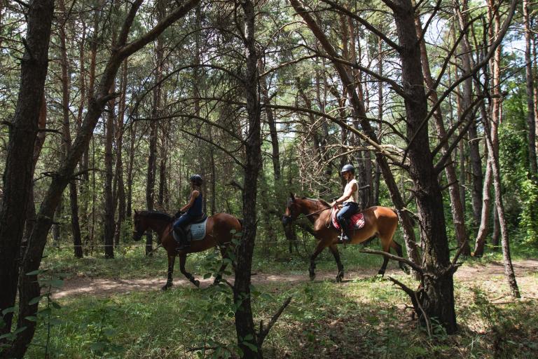 Randonnée à cheval vue sur les montagnes dans les vallées de l'Avance 