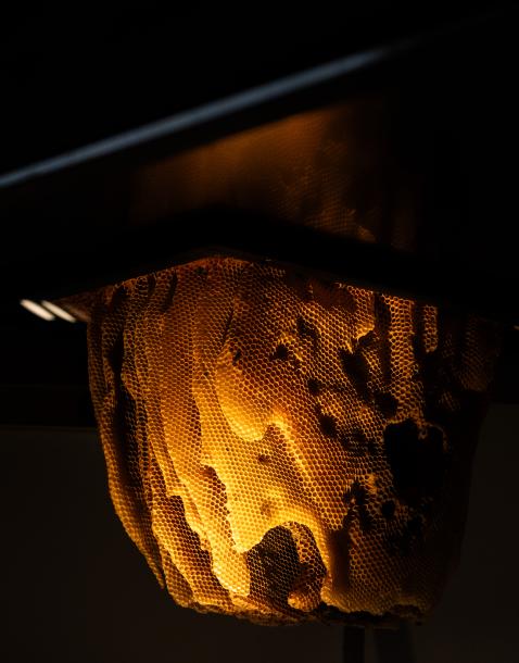 Apiland un agrimusée sur l'apiculture dans les Hautes Alpes. 