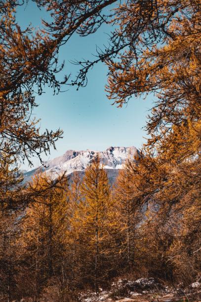 Le mont colombis sommet à faire à l'automne avec les Mélèzes flamboyants. 