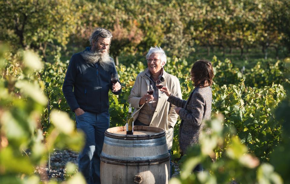 Vignobles