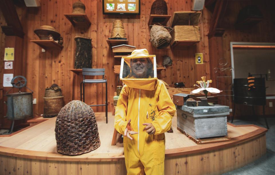 Apiland, musée de l'apiculture dans les Hautes Alpes. Pour en apprendre plus sur les abeilles et la biodiversité. 