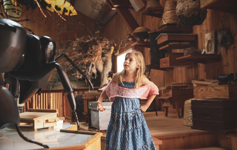 Apiland un agrimusée sur l'apiculture dans les Hautes Alpes. 