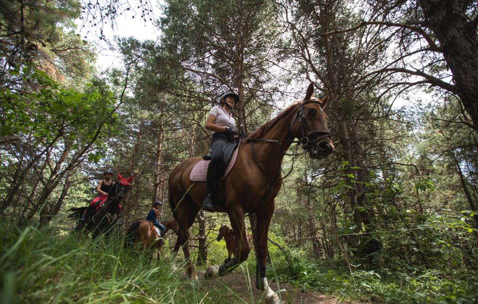 Randonnée à cheval dans la vallée de l'avance. 