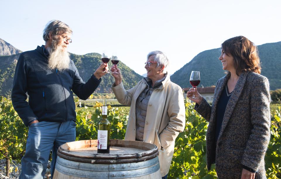 Vin des Hautes Alpes