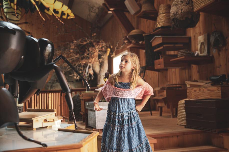 Apiland un agrimusée sur l'apiculture dans les Hautes Alpes. 