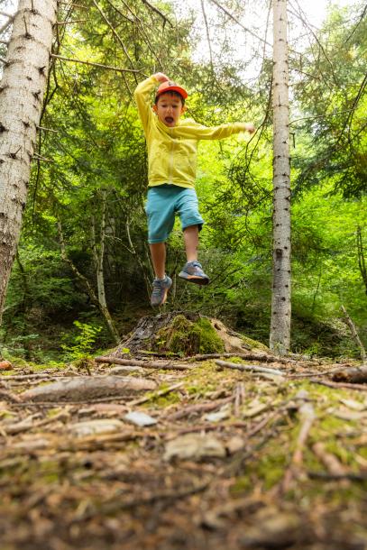La forêt du Sapet à la Batie Neuve une alternative idéale pour les familles pendant les chaudes journées d'été 