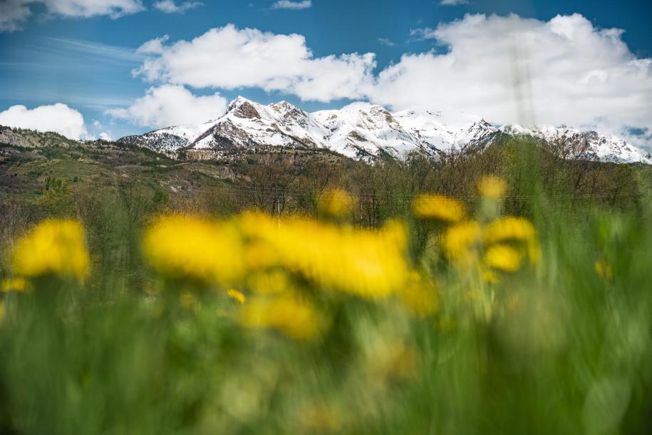 Le printemps dans les Alpes du sud 