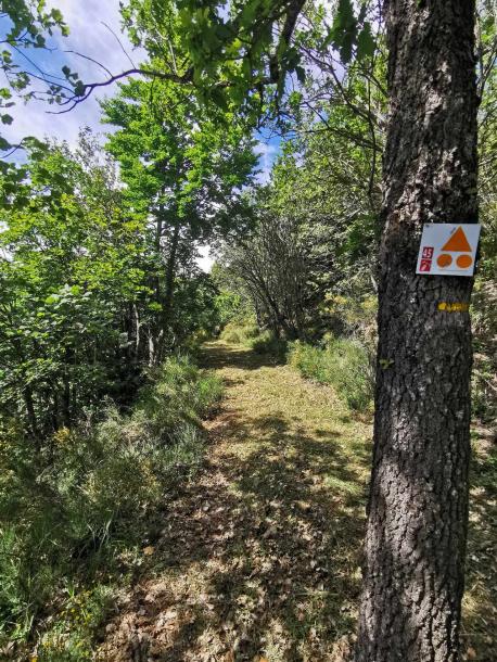 Itinéraires balisés gravel à Serre Ponçon vallées 