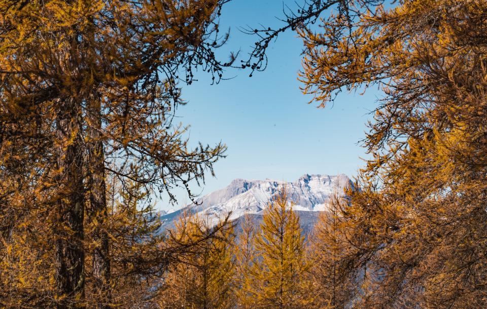 Alpage du mont colombis au mélèzes dorés à l'automne 