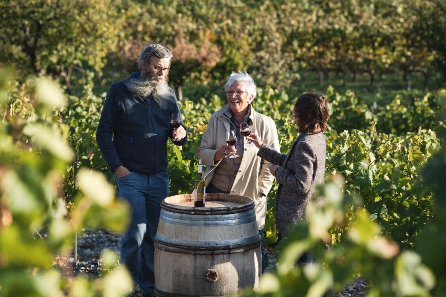 Vignobles